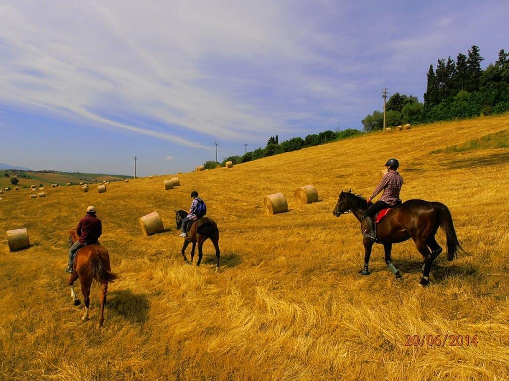 Agriturismo Le Piazze Villa Siena Buitenkant foto