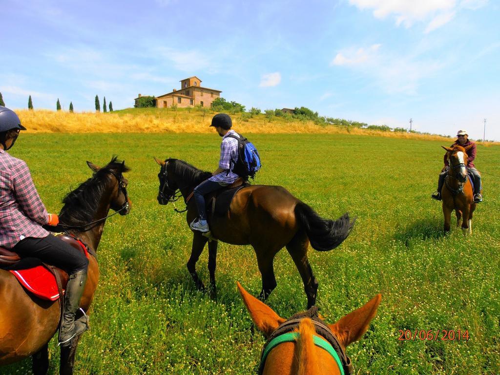 Agriturismo Le Piazze Villa Siena Buitenkant foto