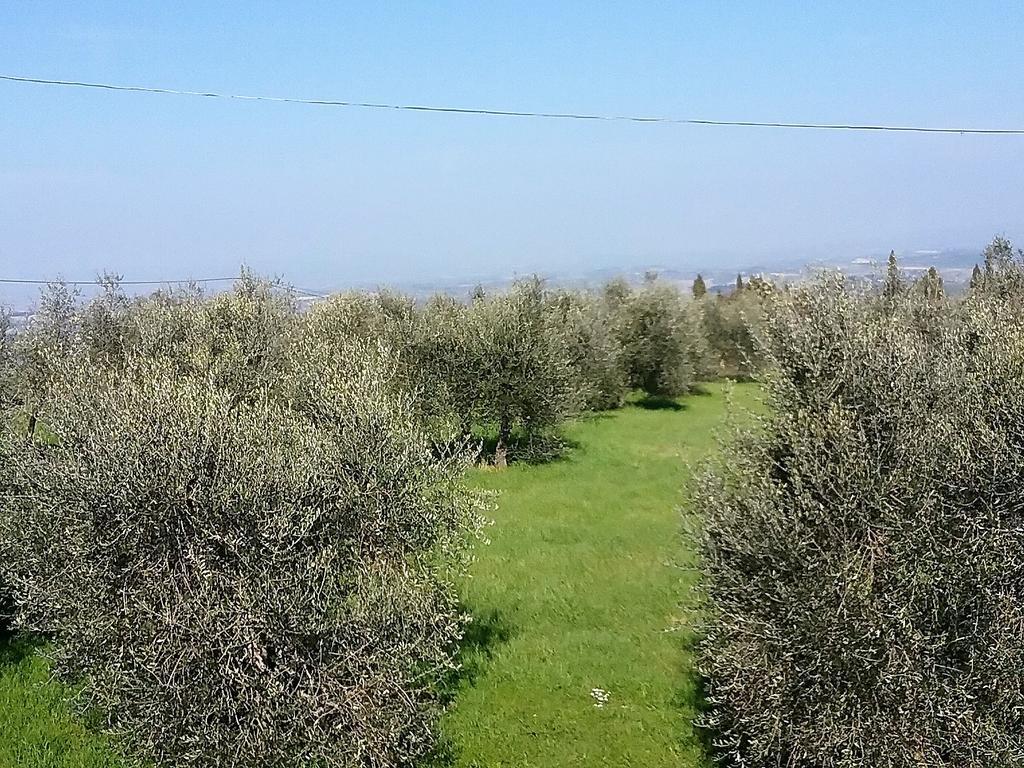 Agriturismo Le Piazze Villa Siena Buitenkant foto