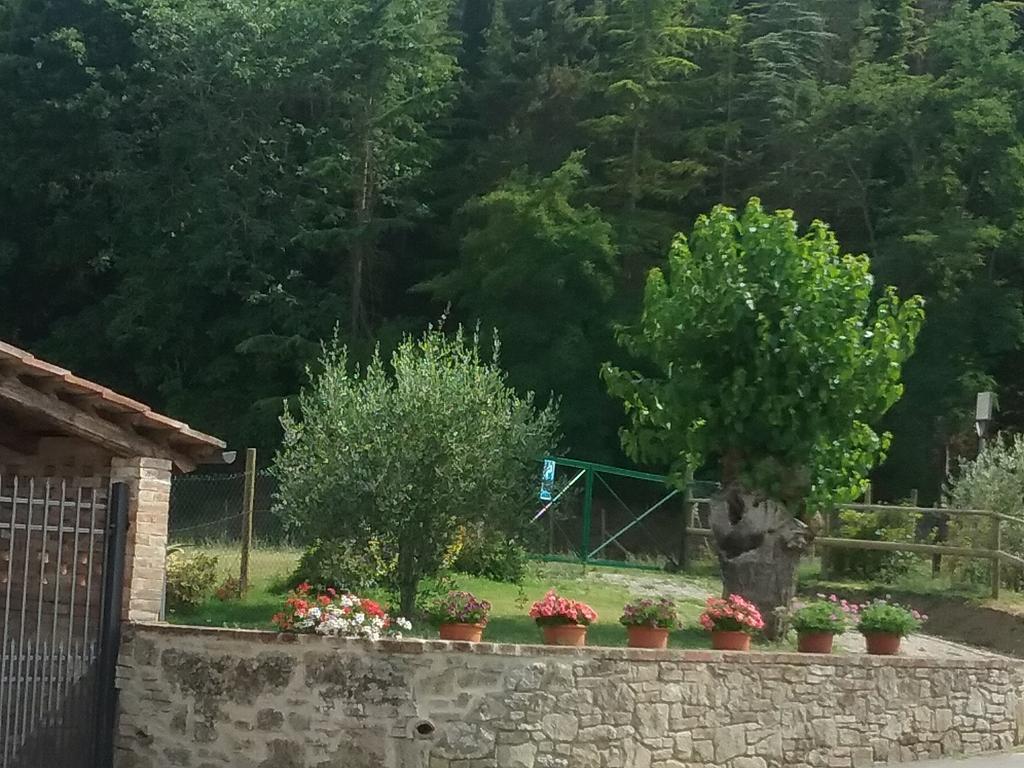 Agriturismo Le Piazze Villa Siena Buitenkant foto