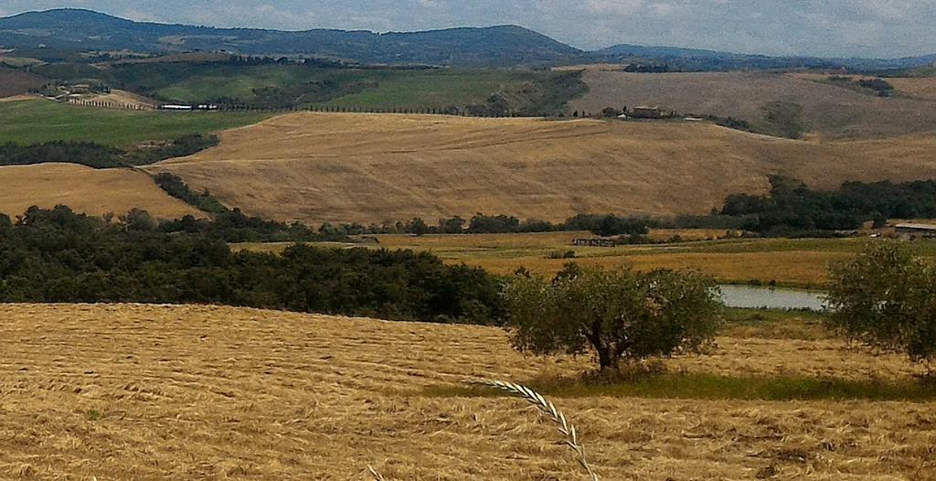 Agriturismo Le Piazze Villa Siena Buitenkant foto